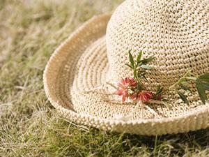 京都を着物レンタルでより楽しむ