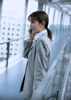 ギルダンを取り扱っている会社について